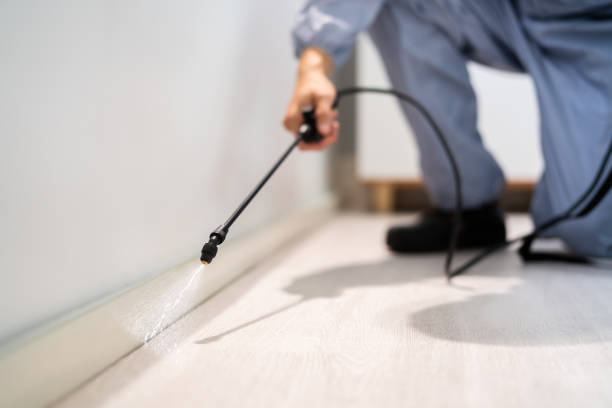 Licensed Pest Control service in Charleston, MO - Show Me Pest Control